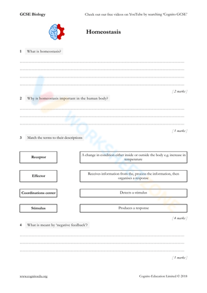 Homeostasis Worksheet: Practice and Review