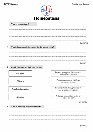 Printable Homeostasis Worksheet | Grade 9-10 Biology