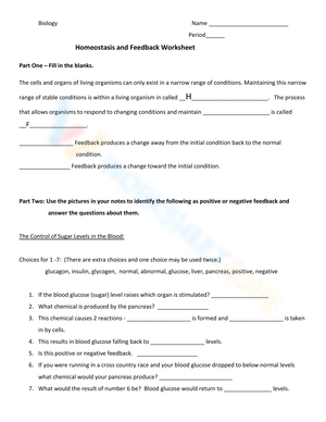 Homeostasis Worksheet: Biological Balance Practice