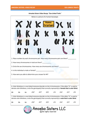 Sex-Linked Traits: Genetics Practice Worksheet