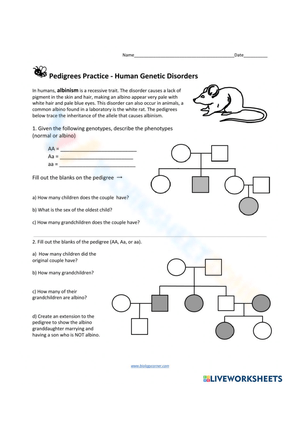 Understanding Inheritance: Pedigree Worksheet