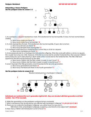 Updated Pedigree Analysis: Genetics Worksheet