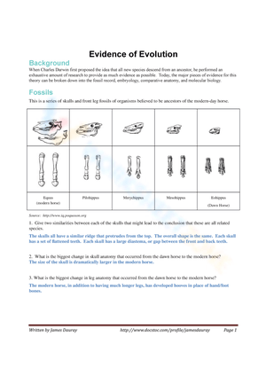 Free Printable Evidence Of Evolution Worksheets