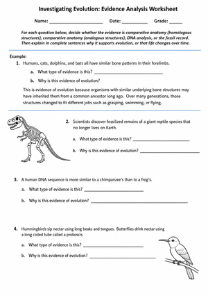 Evidence for Evolution Worksheet | Essential Grade 9-12