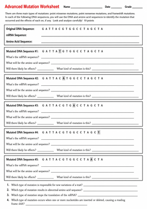 Advanced Mutation Worksheet | Essential Grade 9-12 Biology