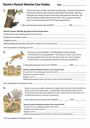 Essential Natural Selection Case Studies | HS Biology