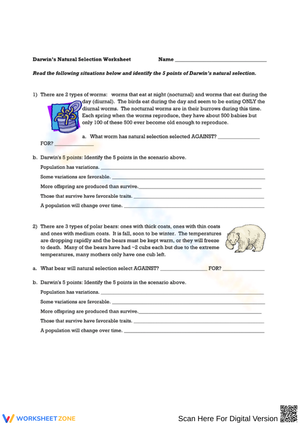 Plant Life Cycle Stages