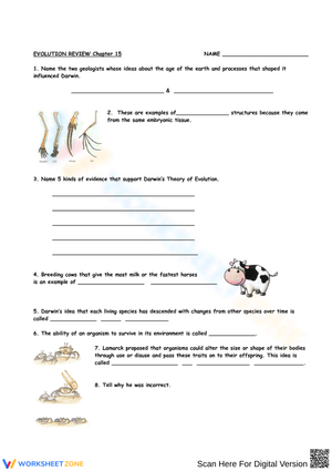 Evolution Review – Darwin's Theory Exercises