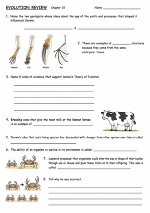Evolution Review Worksheet | Grade 11-12 Essential Guide
