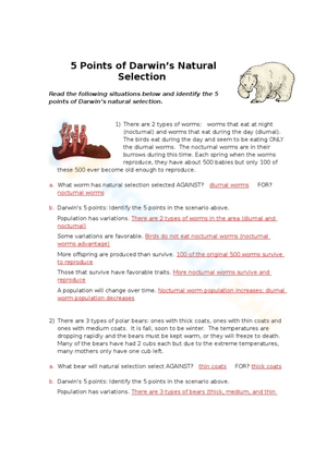 Grade 7 Darwin's natural selection Worksheets 2024