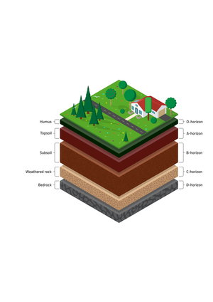 Exploring Soil Layers Worksheet