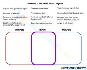 Comparing Mitosis and Meiosis Using a Venn Diagram
