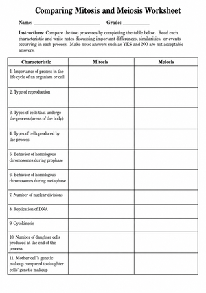 Essential Mitosis vs Meiosis Comparison Worksheet