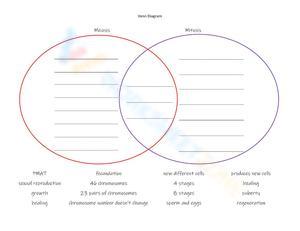 Venn Diagram Worksheet for Data Comparison