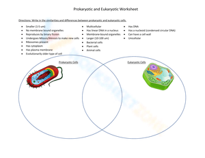 Prokaryotic vs Eukaryotic Cells Worksheet