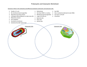 Prokaryotic vs Eukaryotic Cells Worksheet