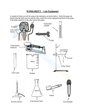 Worksheet on Identifying Lab Equipment