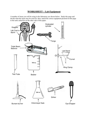 Worksheet on Identifying Lab Equipment
