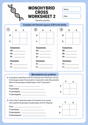 Printable Monohybrid Cross Worksheet | Grade 9 Biology