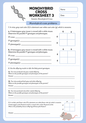 Essential Monohybrid Cross Worksheet | Grade 9-12 Biology