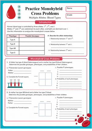Printable Blood Type Genetics Worksheet | Grade 9 Biology