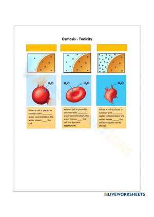 Understand Tonicity and Osmosis with Practice Problems