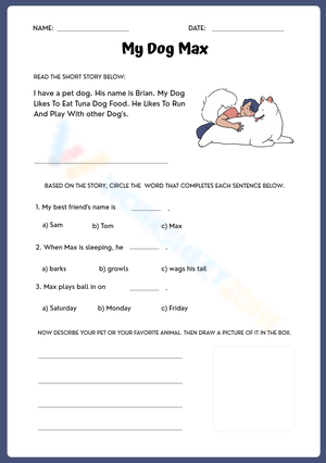 English Reading Comprehension Activity Worksheet