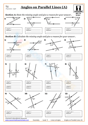 Angles on Parallel Lines 