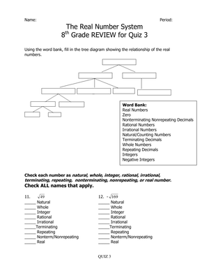 Exploring the Real Number System Worksheet