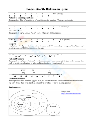 Components of the Real Number System Worksheet
