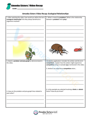 Ecological Relationships Worksheet