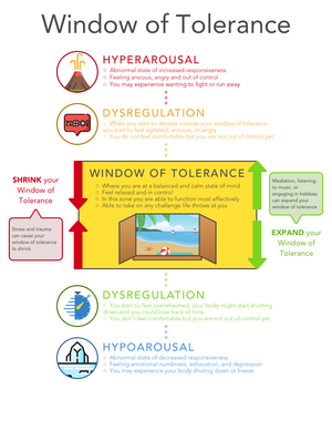 Understanding the Window of Tolerance