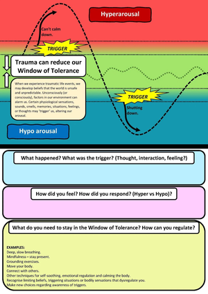 Utilizing the Window of Tolerance: Practice