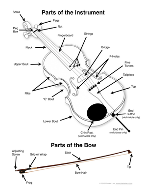 Identify Musical Instrument Parts