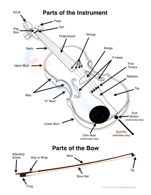 Identify Musical Instrument Parts