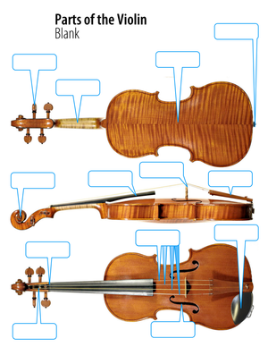 Violin Parts Identification Worksheet