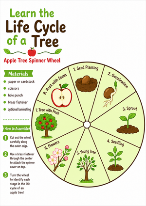 Apple Tree Life Cycle Wheel | Essential Grade 1 Science