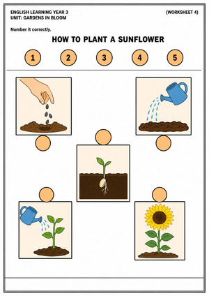 Sunflower Life Cycle Worksheet | Printable Grade 3 Science