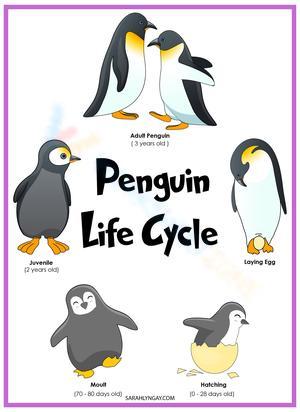 Cute Penguin Life Cycle