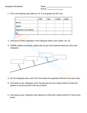 Grade 8 Cladogram Worksheets 2024   Cladogram Worksheet W300 H388 Thumbnail 