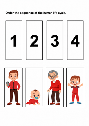 Essential Human Life Cycle Worksheet | Grade K-2 Ready