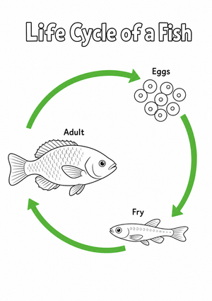 Printable Fish Life Cycle Worksheet | Grade 6 Science