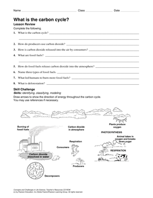 What is the Carbon Cycle? An Introductory Worksheet