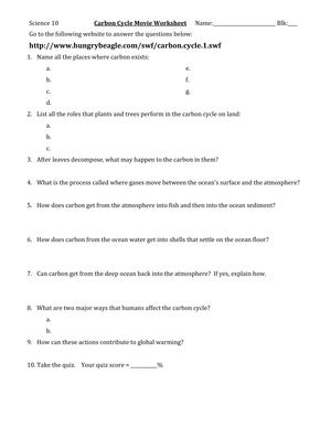 Updated Carbon Cycle Worksheet: Key Processes