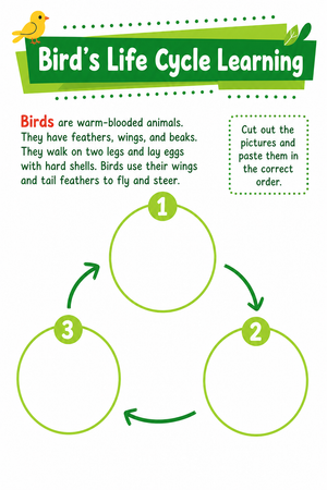Bird's Life Cycle Worksheet | Grade 6 Essential Science