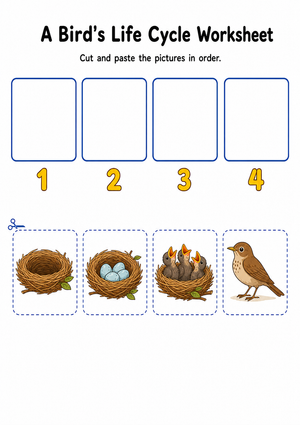 Bird Life Cycle Worksheet | Essential Grade K-1 Science