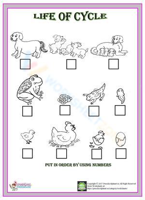 Life Cycle of Animals – Educational Worksheet for Kids