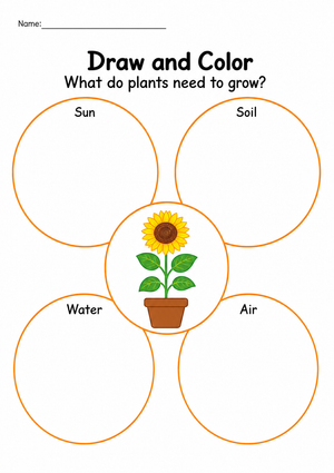 Essential Plant Needs Worksheet | Kindergarten Science