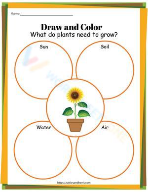 What Plants Need to Grow Worksheet