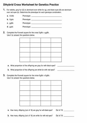 Essential Dihybrid Cross Worksheet | Grades 9-12 Biology
